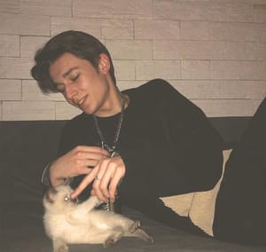 Ảnh đại diện người dùng Mỹ Linh