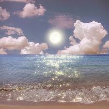 Ảnh đại diện người dùng Thùy Dung